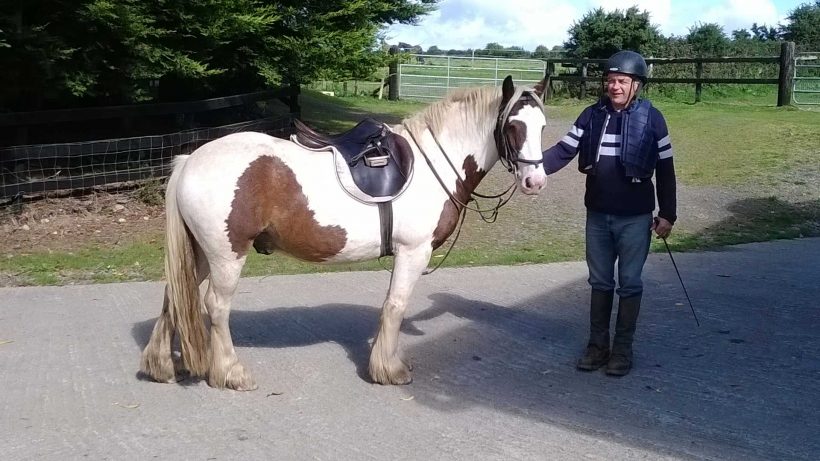 Feeding the Leisure Horse or Pony Feeding the Leisure Horse or Pony