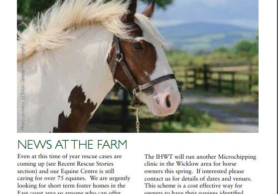 Spring Newsletter Out Now Spring Newsletter Out Now