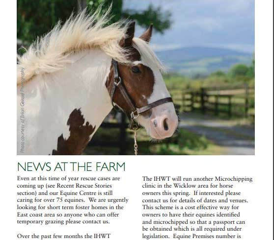 Spring Newsletter Out Now