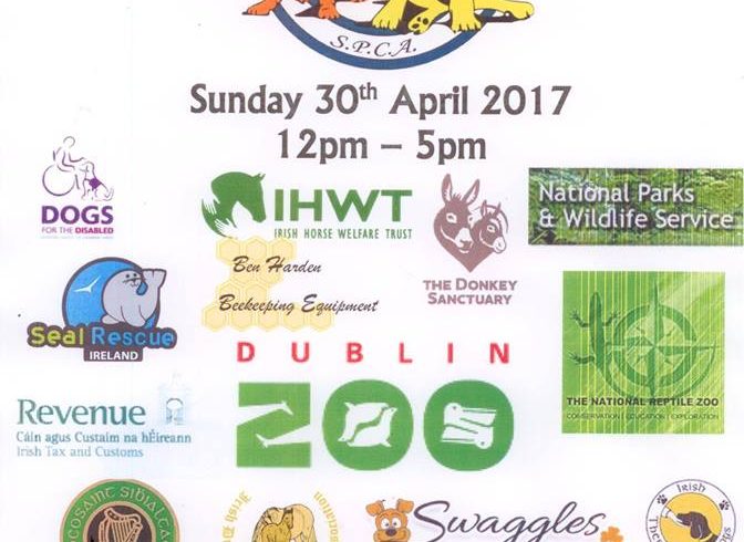 All About Animals Sunday 30th April