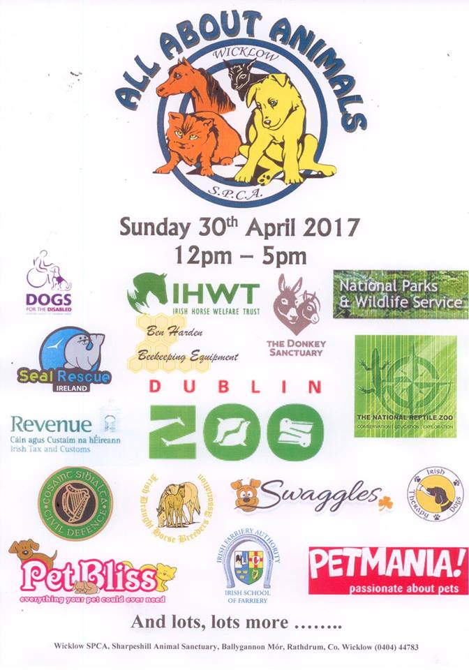 All About Animals Sunday 30th April All About Animals Sunday 30th April