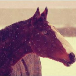 Beating-the-chill-260x260