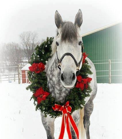 25289468_1779230235482199_1329976086036442189_n