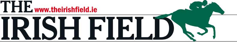 IrishFieldmastURL.jpg
